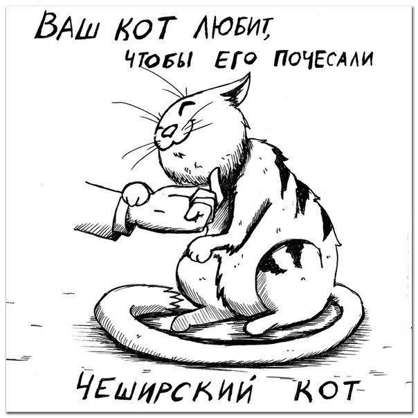 Породы котяр