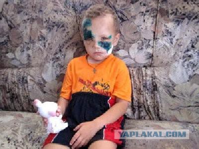 Этот огромный хаски старался быть невозмутимым