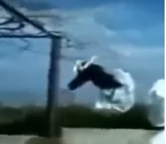 Как открываются кирпичные заводы.