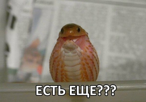 Под вечер, вторника.