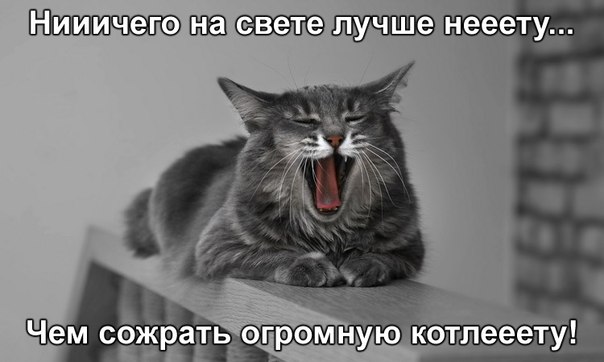 Мохнатые беспредельщики