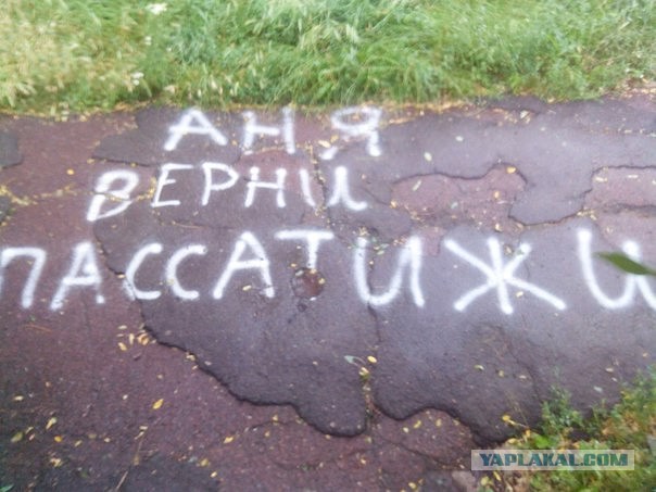 Подборка интересных и смешных картинок