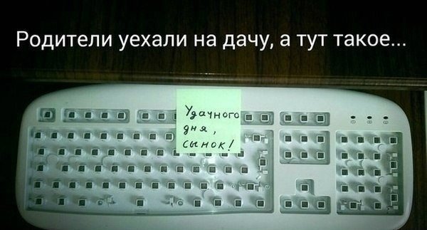 Ужасы и приколы из соцсетей 18+