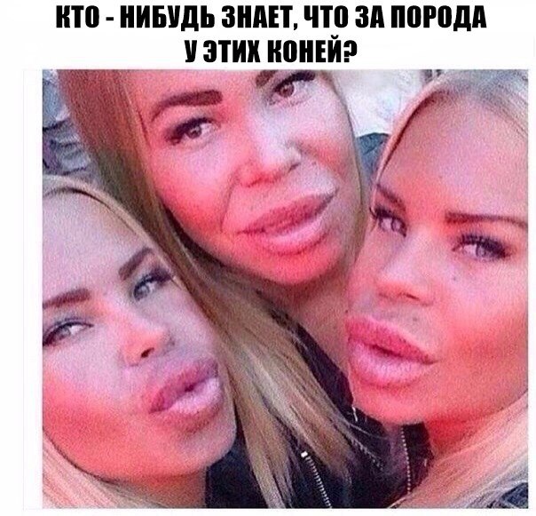 Ужасы и приколы из соцсетей 18+