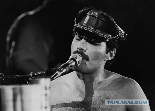 5 сентября Фредди Меркьюри  исполнилось бы 70 лет. Show must go on!