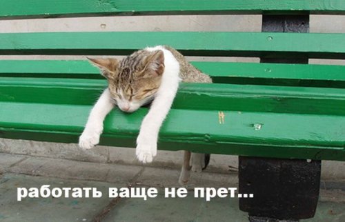 Тунеядцев отдадут на воспитание местным властям