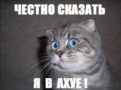 Клинический психолог-сексолог Вероника Степанова