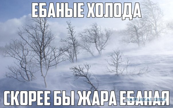 Смешные картинки с надписями 2