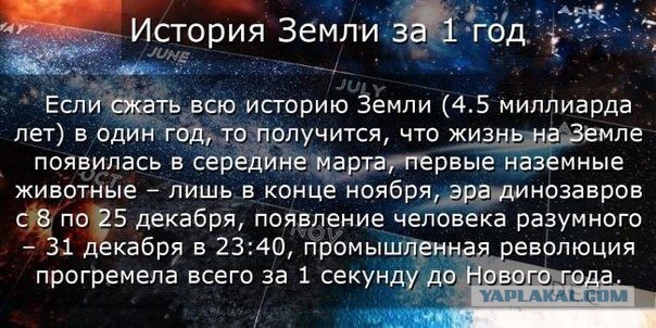 10 причин верить в существование внеземной жизни