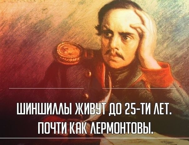 20 великих людей в молодости и сейчас