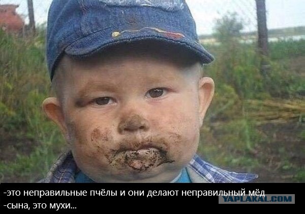 Нестандартный юмор