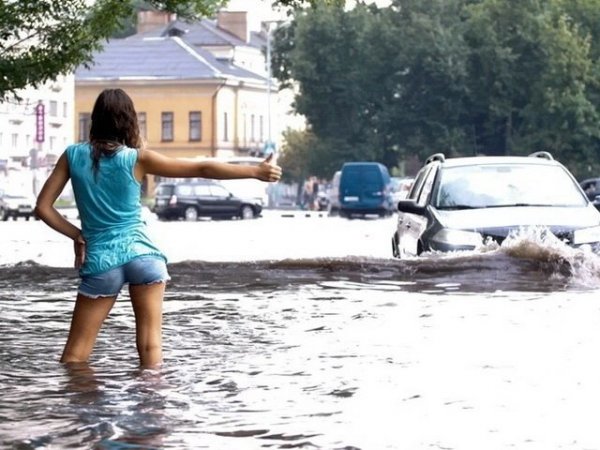 Прикольные картинки абавсём