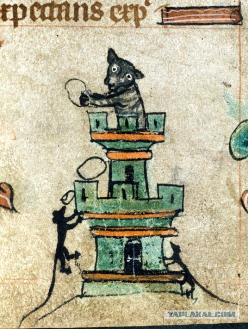 Средневековые коты, которым тоже сложно