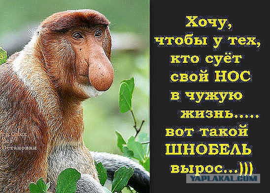 Чудики из социальных сетей