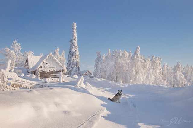 Сельский позитив