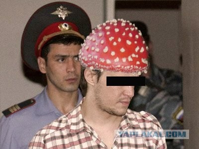 Гигантский гриб головач
