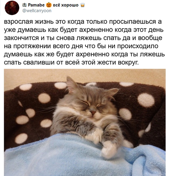 Юмор в картинках 11.11.2020 (2)