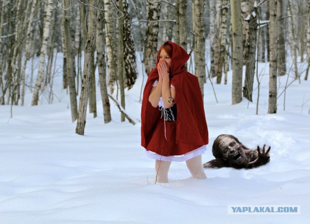 Фотожаба: "Заплутала"