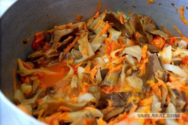 Осень в банках