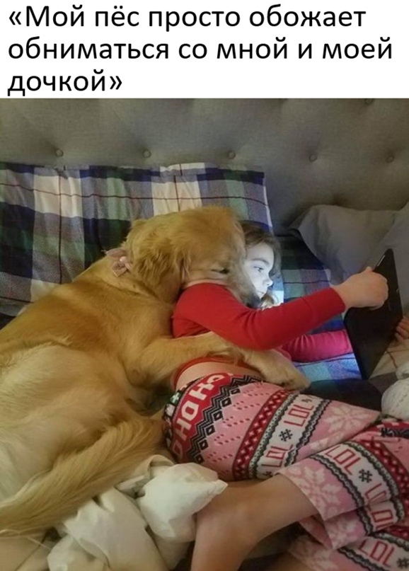 Картинки и мемы для настроения