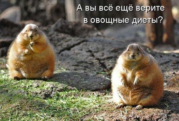 Всякой Хни вам в ленту, дорогие деграданты...