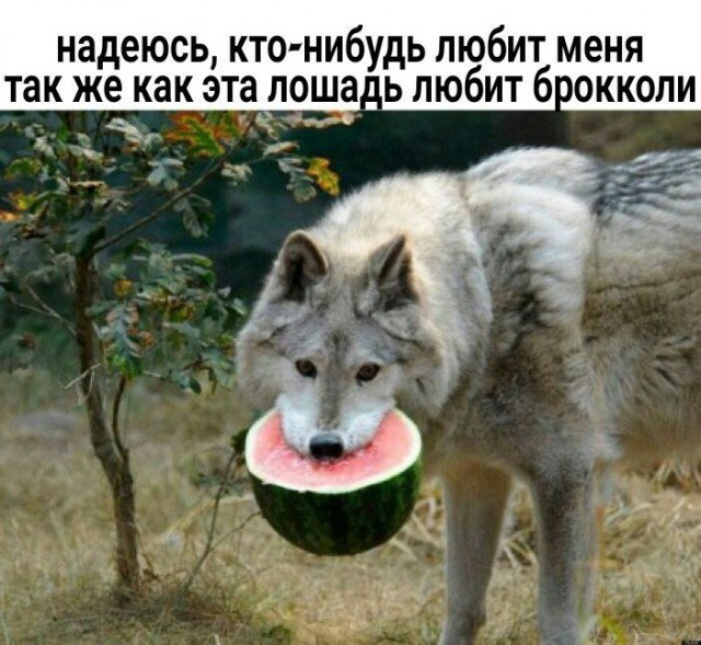 Картинки с надписями и всякие жизненные фразы
