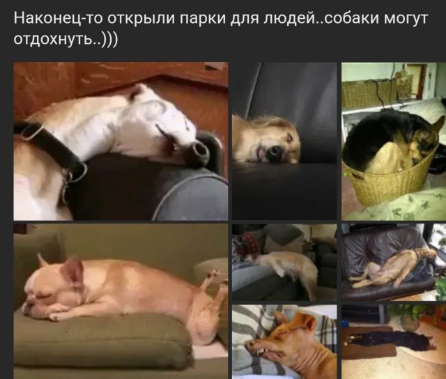 Картинки и мемы для настроения  - 31
