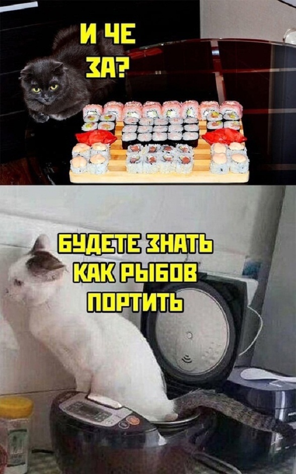 Картинки и мемы для настроения - 21
