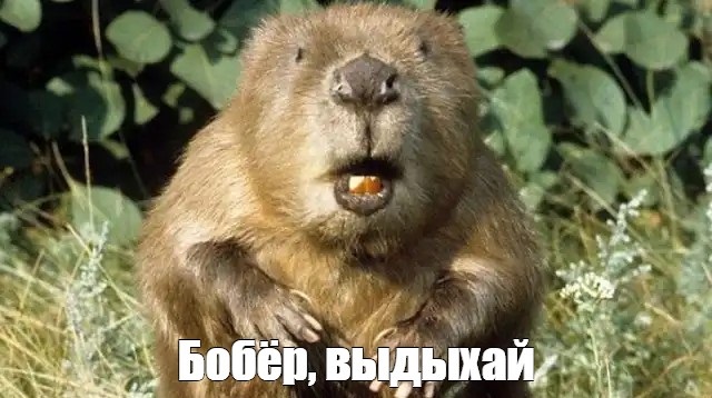 8 научных фактов, которые перевернут твое представление о времени