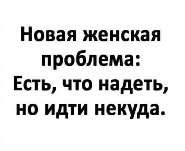 Весёлый полтишок 29.12.22