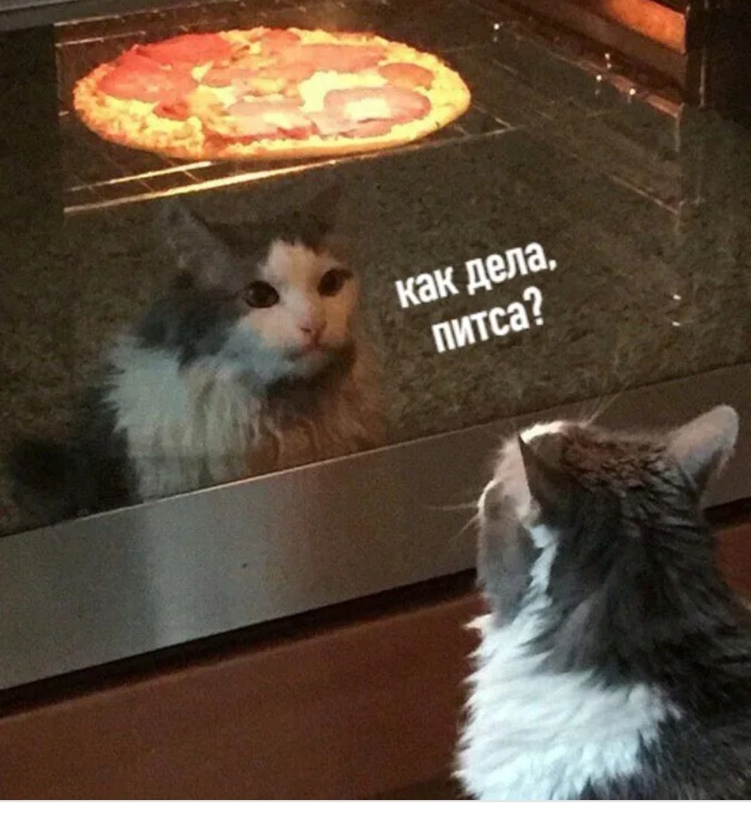 я хочу пиццу я хочу чтобы ты приправил ее соусом сыром сжег заставил плакать фото 106