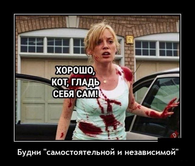 Картинок вам