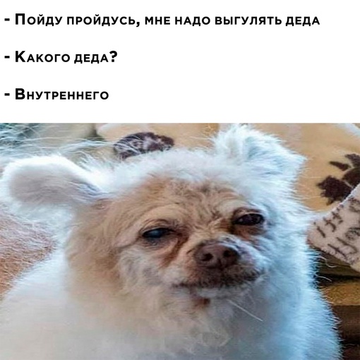 Картинки и мемы, всяко разно - 183