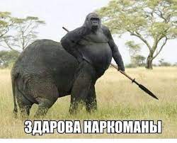 Веселые картинки в последний день января (31.01)