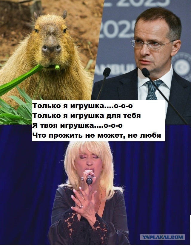 Мединский признался, что долго считал капибару игрушкой