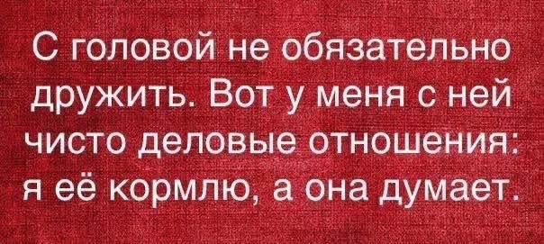 Веселые картинки в пятницу (06.03)