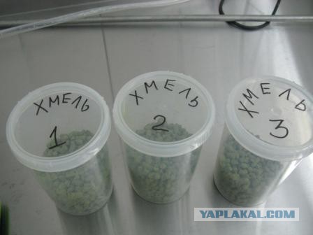 Первая варка настоящего ПИВА