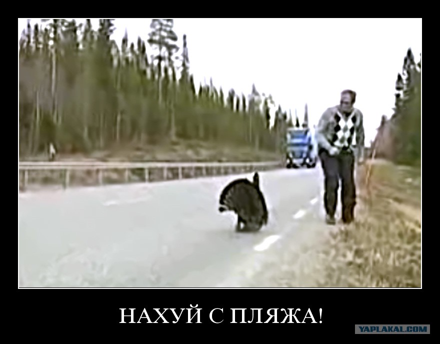 Нахуй С Пляжу