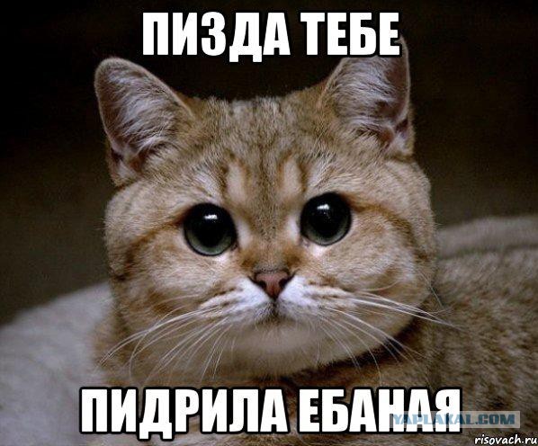 А я ведь предупреждал
