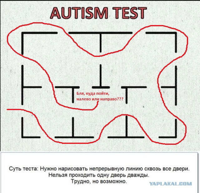 Autism test