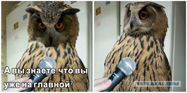 А вы знаете..?