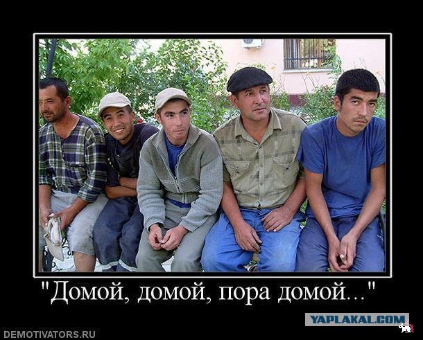 Таджики против миграционных правил России