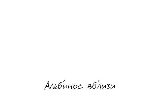 Карикатуры Деметрия Мартина