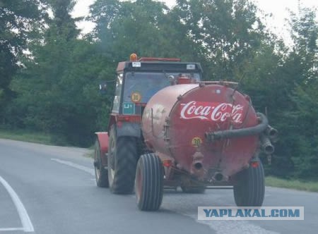 Забавные картинки из Сети