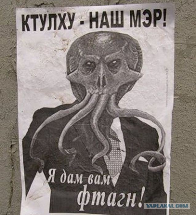 Выборы-выборы! Кандидаты... молодцы.
