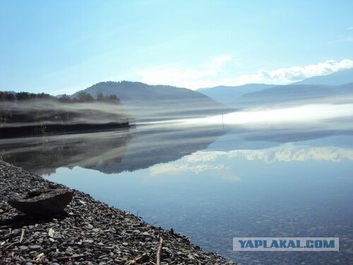 Я узнал, что у меня есть огромная семья