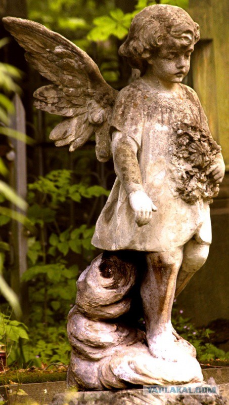 Десятилетняя девочка погибла, спасая двоих малышей