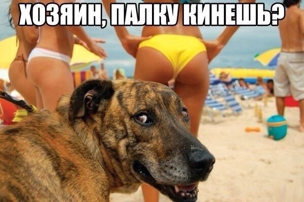 Картинки с инета про это
