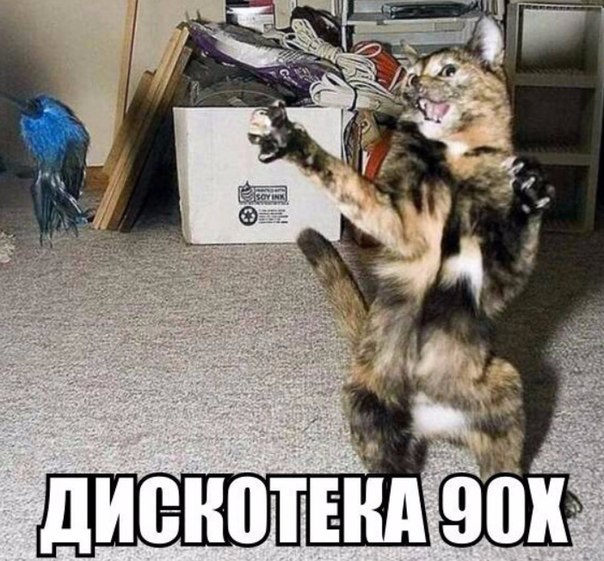 Мохнатые беспредельщики