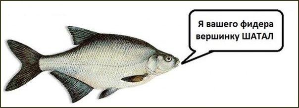 Рыбалка на реке Удыхын. Хабаровский край.